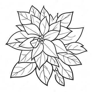 Julstjärna målarbild | Jul Poinsettia målarbild