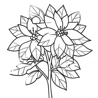 Festlig Poinsettia Växt Färgläggningssida | Jul Poinsettia målarbild