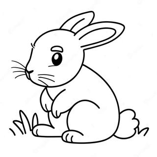 Realistic Rabbit Coloring Page | Rabbit for Adults coloring page