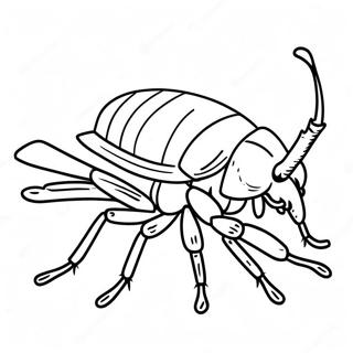 Cockroach Coloring Page | Cockroach coloring page