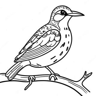 Västlig sånglärka sittande på en gren färgläggningssida | Västlig ängslärka Clipart målarbild