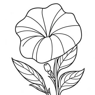 Morning Glory Flower Coloring Page | Morning Glory coloring page