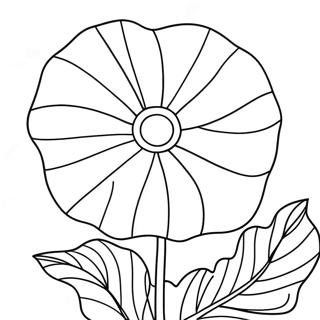 Morning Glory Coloring Pages