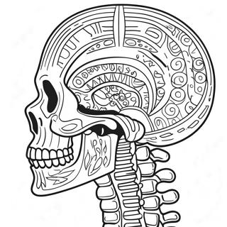 Detailed Human Skeleton Coloring Page | Label the Skeleton coloring page