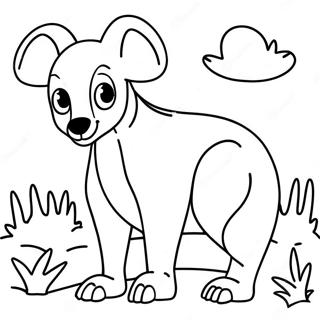 Australian Animal Coloring Page | Australian Animal coloring page