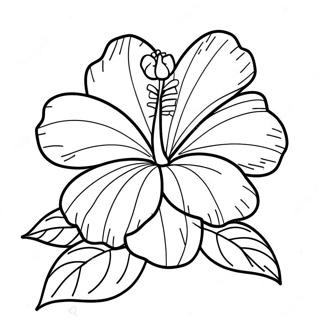 Hibiscus Flower Coloring Page | Hibiscus coloring page