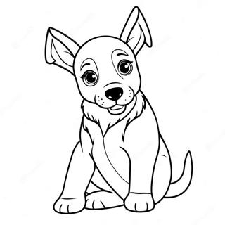 Malinois Belga Páginas para Colorir
