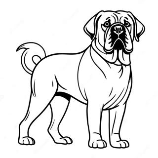 English Mastiff Standing Proud Coloring Page | English Mastiff coloring page