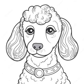 Poodle Coloring Page | Poodle coloring page