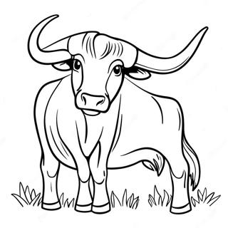 Texas Longhorn Steer Coloring Page | Texas coloring page