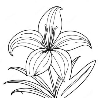 Lily Flower Coloring Page | Lily Flower coloring page