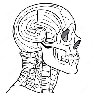 Anatomy Coloring Page | Anatomy coloring page
