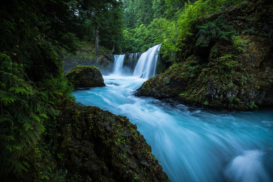 Видео про обои. Горная река. Водопад. Природа водопад. Красивые водопады.