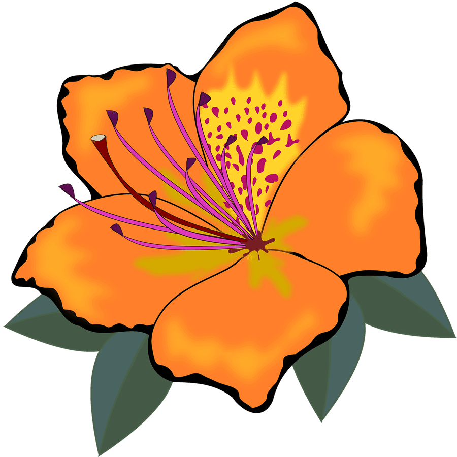 [300+] Flower Clipart Png Images | Wallpapers.com