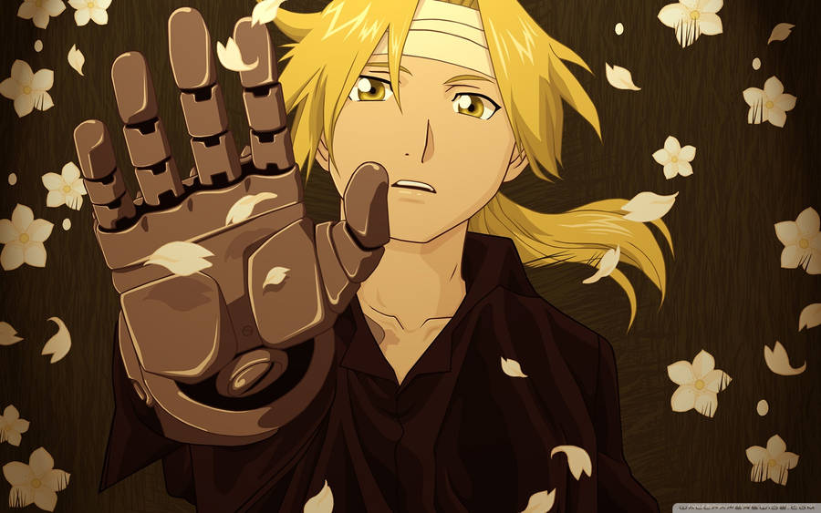 100 Papéis De Parede De Fullmetal Alchemist Brotherhood 1976