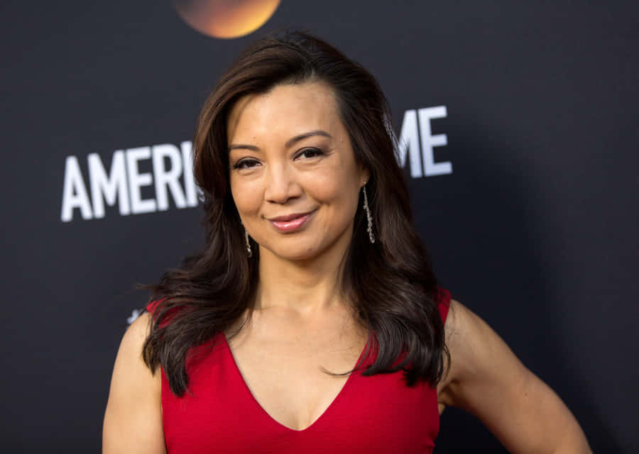 100 Ming Na Wen Wallpapers 