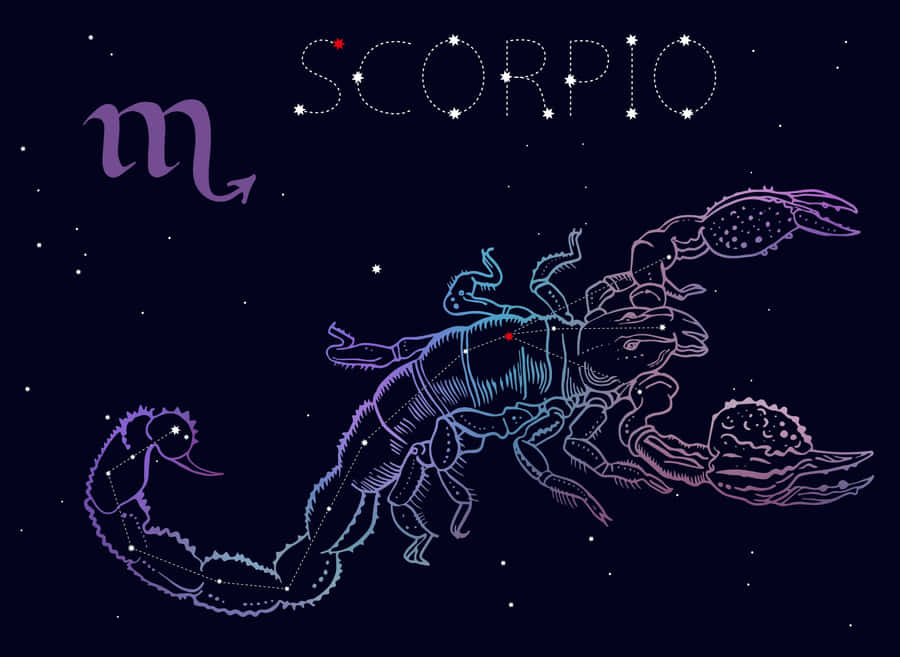[200+] Scorpio Pictures | Wallpapers.com