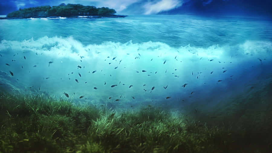 Cloud fish. Океан под водой. Подводные пейзажи. Море под водой. Морские глубины.