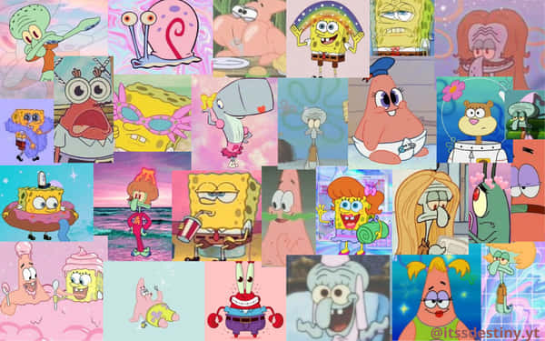 Download Spongebob Squarepants Wallpapers Wallpaper | Wallpapers.com
