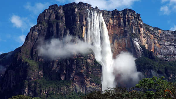 Download Kerepakupai Merú River Angel Falls Wallpaper | Wallpapers.com