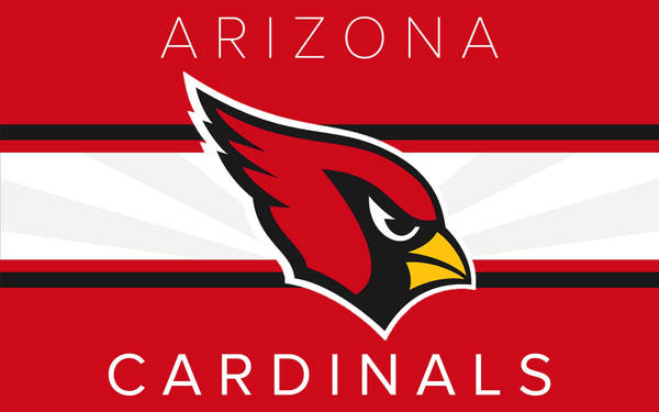 Download Arizona Cardinals Soar to Their 13th NFC Championship ...