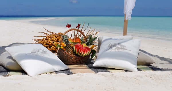 Download A delightful beach picnic with friends and family Wallpaper