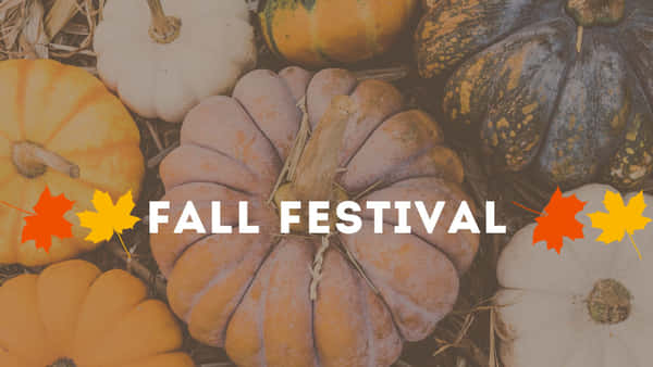 Download Fall Festival 3840 X 2560 Wallpaper Wallpaper | Wallpapers.com