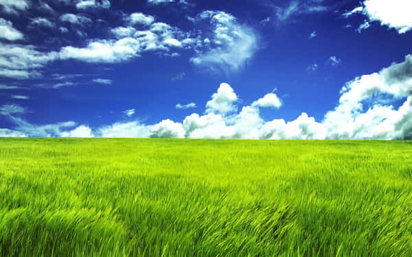 Wallpaper ID 1311083  grass swing 1080P tree hills clouds shelter  landscape rin sky scenic Anime free download
