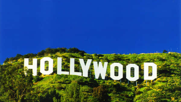 Download Downtown Los Angeles California Hollywood Background ...