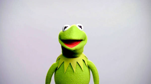 Download A Close-Up Look at Kermit the Frog Wallpaper | Wallpapers.com