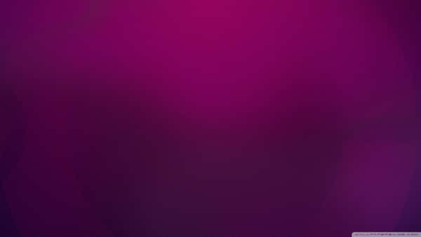 Download Plain Purple Background | Wallpapers.com