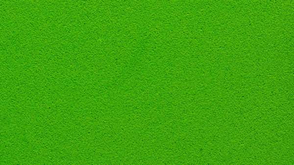 Download Get the Ultimate in Style with a Solid Green Background ...