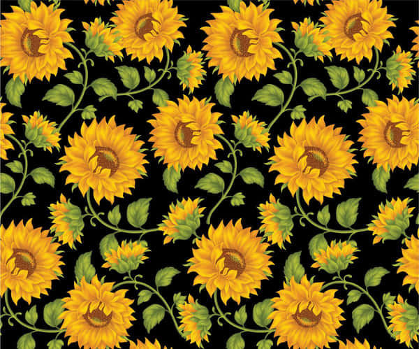 Sunflower Yellow Tumblr Aesthetic Wallpapers