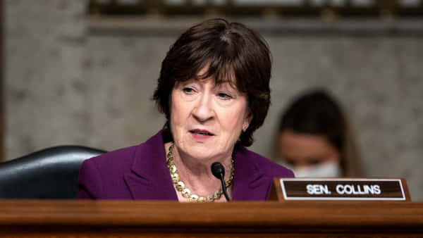 Download Susan Collins Senator Wallpaper | Wallpapers.com