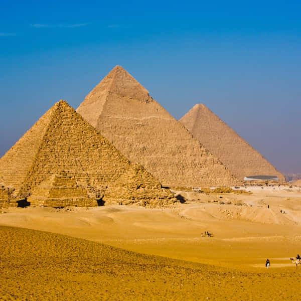 Download Man Holding The Tip Of The Pyramids Of Giza Wallpaper ...