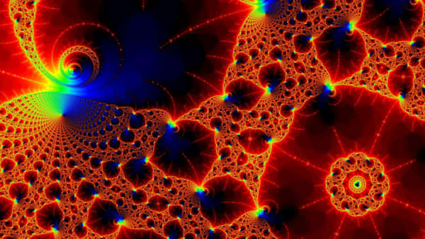 Download Trippy Fractals 2560 X 1440 Wallpaper Wallpaper | Wallpapers.com