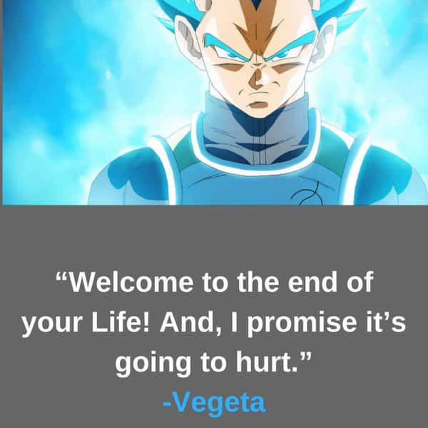 Download Vegeta Quotes 1080 X 1080 Wallpaper Wallpaper | Wallpapers.com