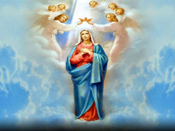 Download Caption: Divine Image Of The Blessed Virgin Mary Wallpaper ...