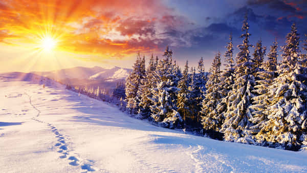 Download Stunning Winter Sun Glistening Over a Snow-Covered Landscape ...