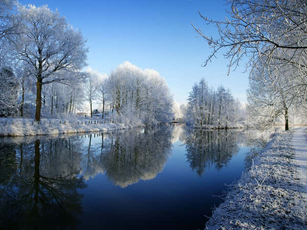 Download Winter Zoom Background Of Snow-covered Hill 