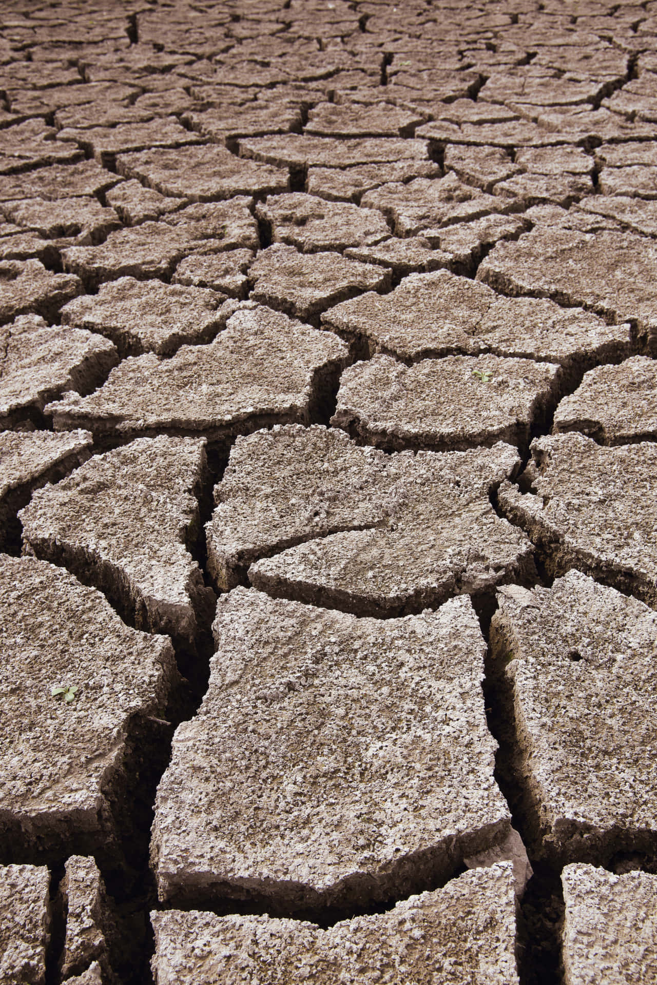 Free Soil Background Photos, [100+] Soil Background for FREE |  