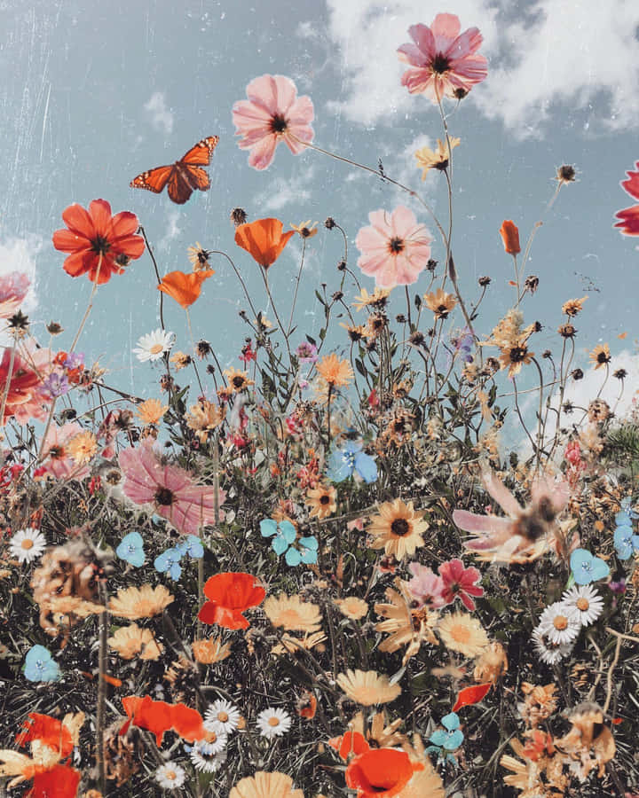 Free Cute Aesthetic Flower Background Photos, [100+] Cute Aesthetic Flower  Background for FREE 
