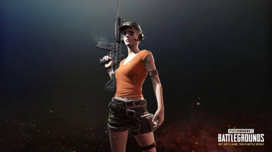 Free Pubg Banner Background Photos, [100+] Pubg Banner Background for FREE  