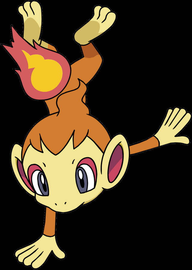 100-chimchar-pictures-for-free-wallpapers