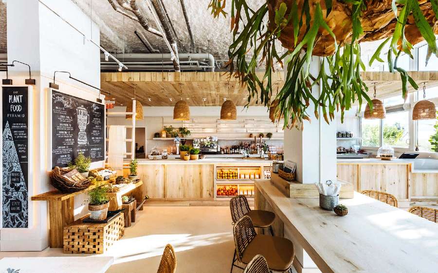 Modern cafe with wooden counters hanging green plants and woven pendant lights. — 1440p Kitchen Background