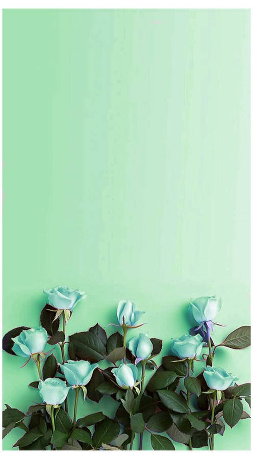 Free Mint Green Aesthetic Background Photos, [100+] Mint Green Aesthetic  Background for FREE 