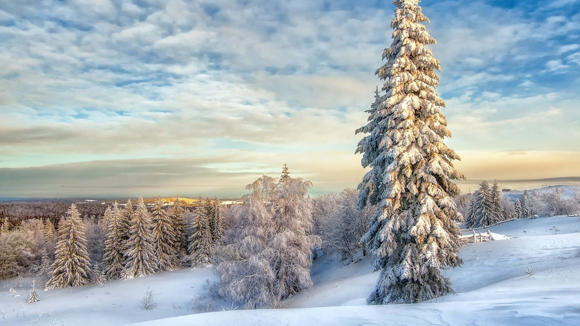 Winter 4k Wallpapers - Top Ultra 4k Winter Backgrounds Download