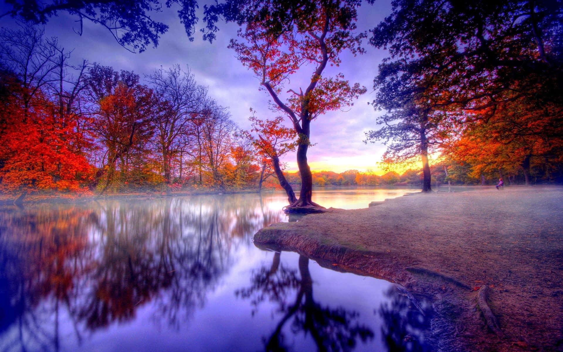 A lone autumn tree by a misty lake at sunset with vivid reflections. — 1920X1200 Background