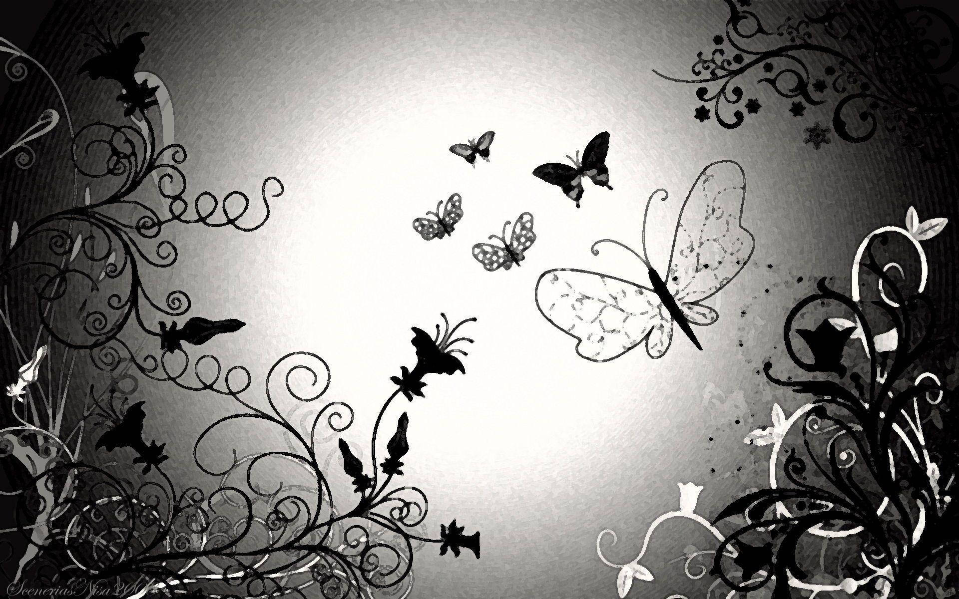 Free Black Butterfly Background Photos, [100+] Black Butterfly Background  for FREE 