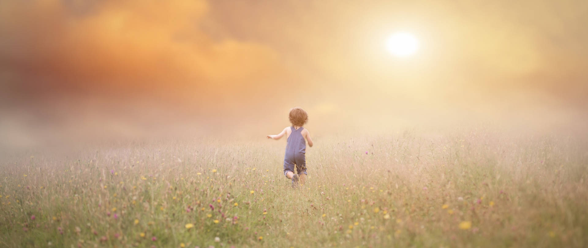 Free Children Background Photos, [100+] Children Background for FREE |  